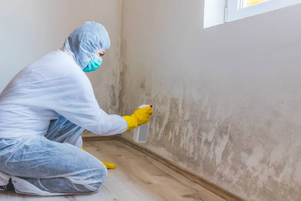 Licensed Commercial Mold Remediation service in Frederick, MD - WQB Mold Removal
