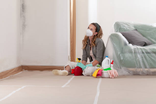 Reliable Commercial Mold Remediation contractor in Frederick, MD by WQB Mold Removal